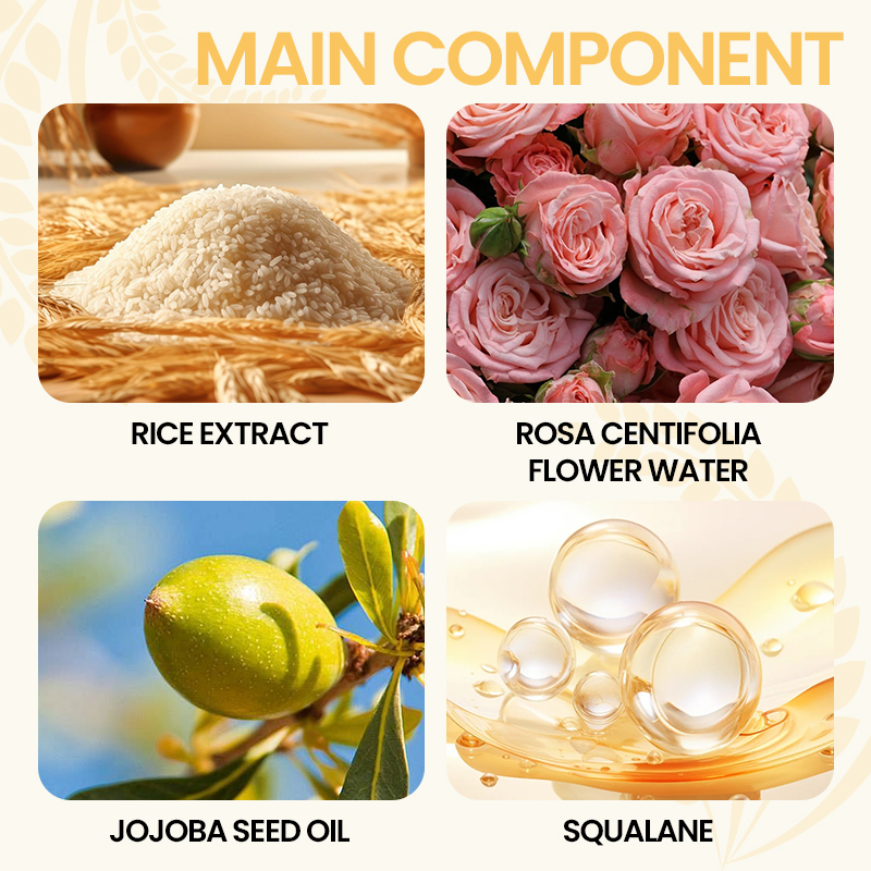 Ensemble de soins de la peau éclaircissant sans silicone apaisant et antioxydant et huile de riz et de graines de jojoba ensemble soins de la peau changement de marque – Image 4